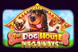 【THE DOG HOUSE MEGAWAYS】スロットのスペックや特徴を解説。フリースピンやボーナスをご紹介