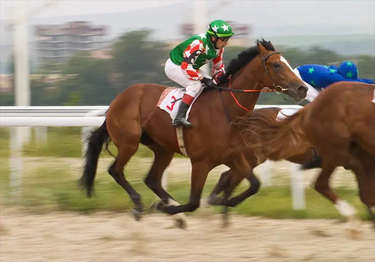 競馬に必勝法はある？初心者が的中率を高めるためのコツを8個ご紹介 | オンラインカジノTV