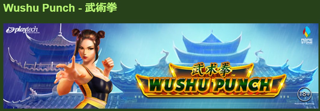 Wushu Punch （武術拳）